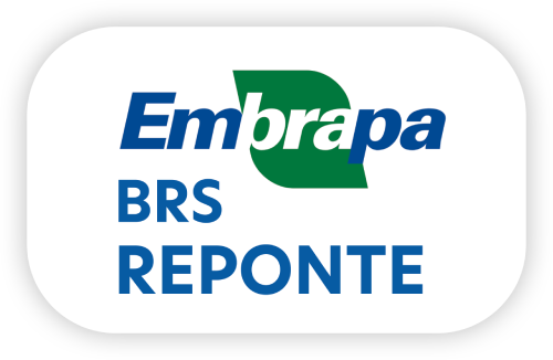 Embrapa BRS Reponte