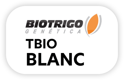 TBIO Blanc