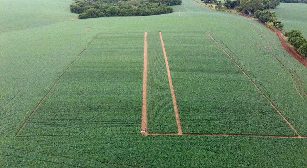 Área de pesquisa agrícola Roratto Sementes